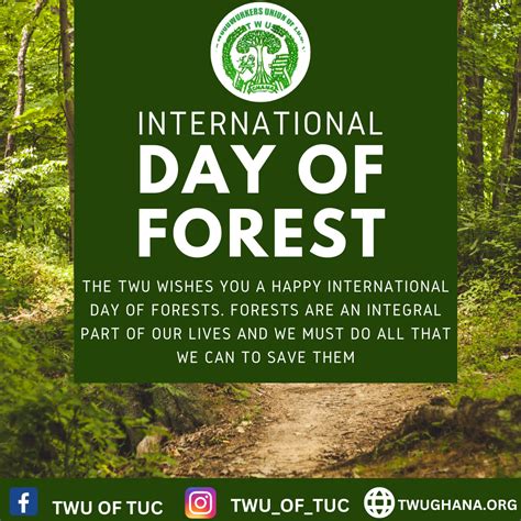 International Day Of Forestcelebrating The Importance Of Forest For A