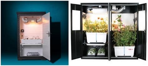 While controlling the odor of your grow room can be cosdy, concealing your grow room is usually just a matter of planning and attention to detail. Grow cabinet and grow box ideas - how to develop plants ...