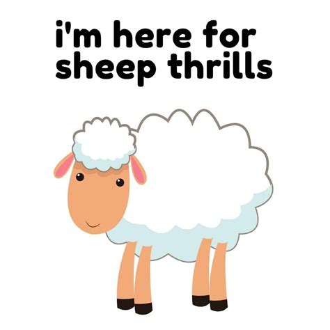 30 Wooly Great Sheep Puns Box Of Puns