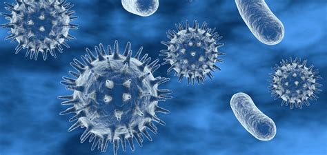 ICGEB Vector Borne Diseases