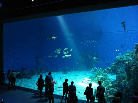 Places To Go People To Meet Blue Planet Aquarium