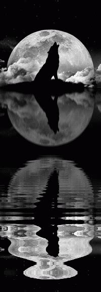Howling rises and falls in pitch, skirting the edges of but the association of wolves with the moon has developed over centuries and in many other parts of the world. REVIEW: 'Luna: Wolf Moon' howls with action and intrigue