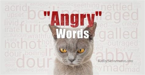 A Gray Cat With An Angry Word On Its Head That Says Angry Words
