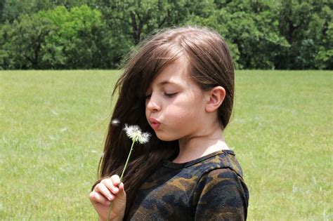 Young Girl Blowing On Dandelion Free Stock Photo Public Domain Pictures
