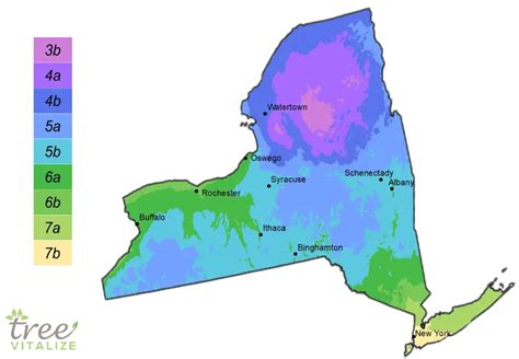 Planting Zones New York Hardiness Gardening And Climate Zone