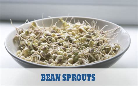 Bean Sprouts Nutritional Info Health Benefits And How To Make It