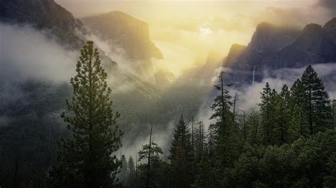 Beautiful Cloud Covered Trees And Mountain With Sunbeam 4k Hd Nature