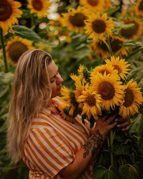 Ashpinua On Instagram “summer July Sunflowers Cun Flowers