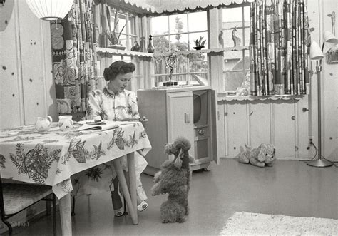 Actress Betty White At Home With Her Dog Los Angeles