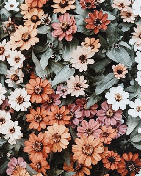 20 Selected Aesthetic Flower Wallpaper Landscape You Can Use It For