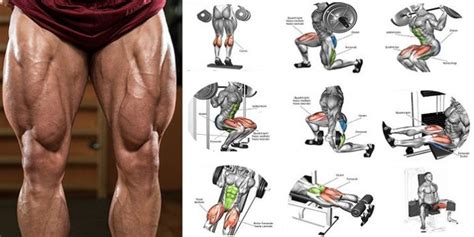 10 Best Leg Exercises For Building Mass And Strength Leg Muscles Leg