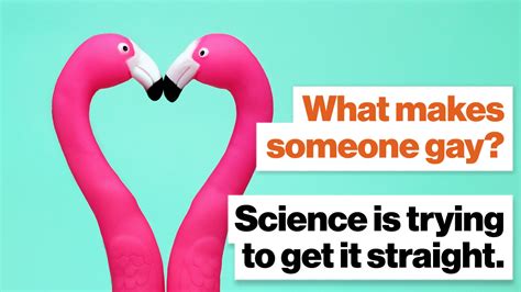 What Makes Someone Gay Science Is Trying To Get It Straight Big Think