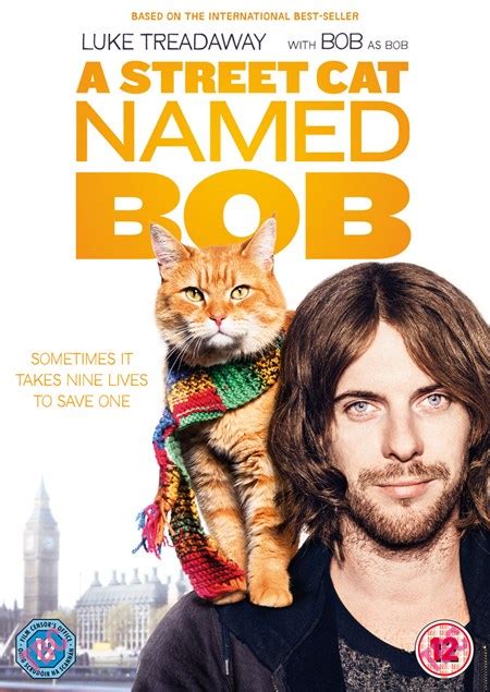 A street cat named bob is a moving true story; A Street Cat Named Bob DVD | ZOOM.co.uk