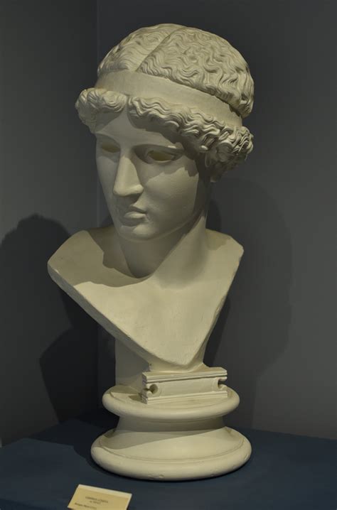 Athena Lemnia Wilcox Classical Museum
