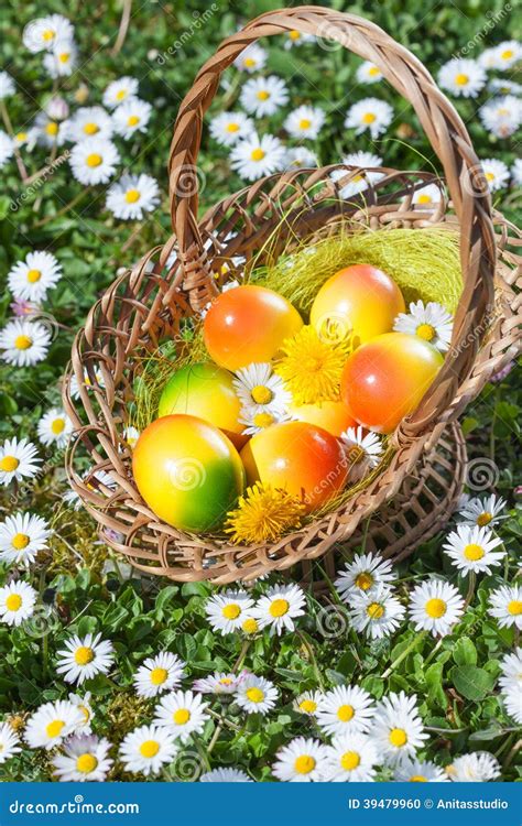 Easter Egg In Basket On Flower Meadow Stock Photo Image Of Decoration