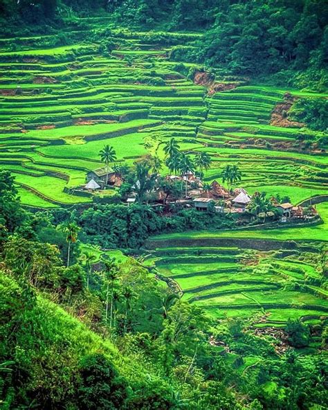 Bangaan Rice Terraces Ifugao Philippines Travel Fun Earth Pictures Philippines