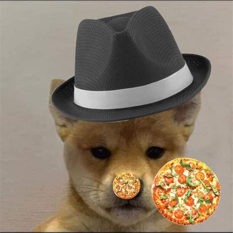 I own a wrap shop and i'll accept 100% payment in doge. Pin by Stilly on dogwifhat | Cowboy hats, Hats, Pictures