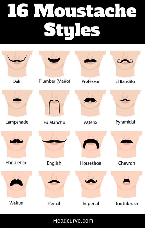 16 Moustache Styles And Names Chart And Illustrations Moustache Style Moustache Mustache