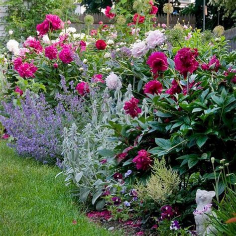 2030 Peony Garden Design Ideas