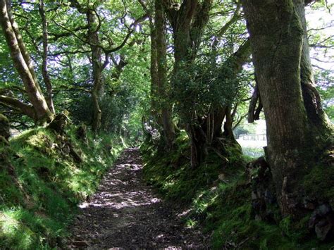 Ancient Sunken Lane Leading To © Ceridwen Geograph Britain And