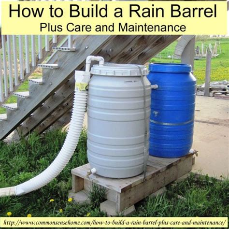 How To Build A Rain Barrel Plus Care And Maintenance