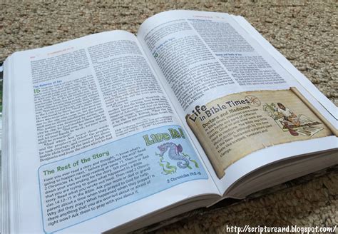 A Review Of Nkjv Adventure Bible
