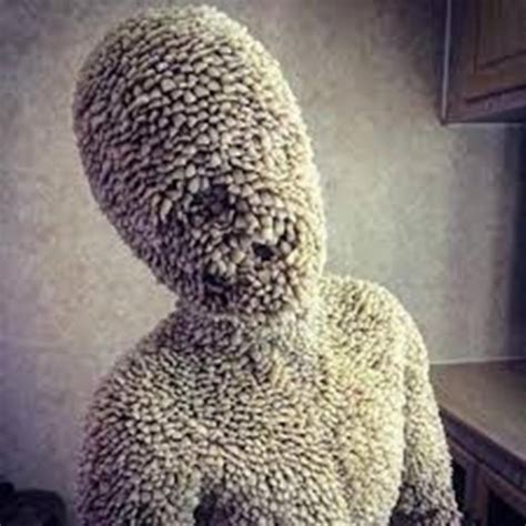 Trypophobia Sculpture Archives Trypophobia Reference Website