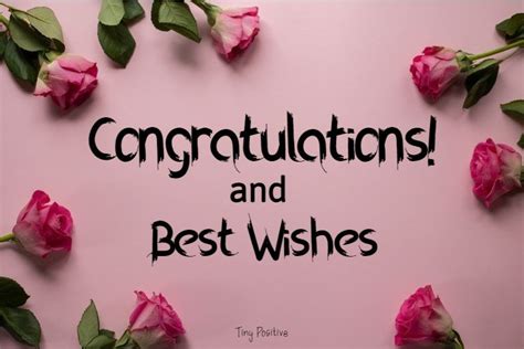 Top Best Congratulation Messages And Wishes Updated Scholarships Hall