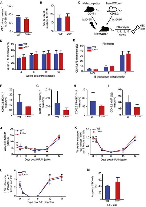 Figure 2 From Latexin Regulates Sex Dimorphism In Hematopoiesis Via Gender Specific Differential