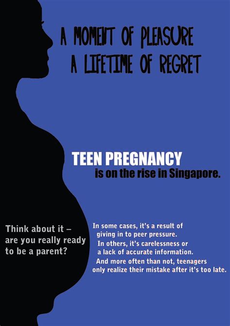 Hani S Portfolio Development Teen Pregnancy Poster