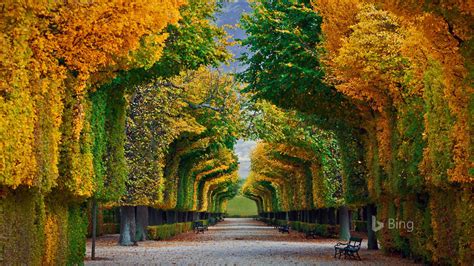 Schonbrunn Palace Vienna 2016 Bing Desktop Wallpaper