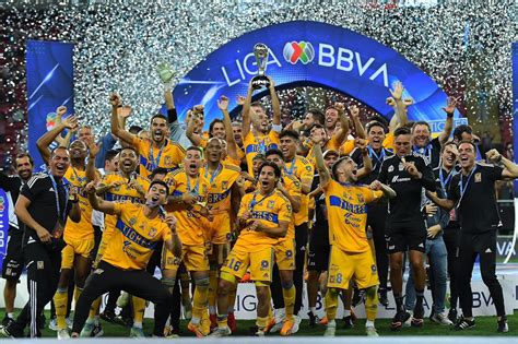 Los Tigres De La Uanl Consiguen Su Octavo T Tulo En La Liga Mx Vpro