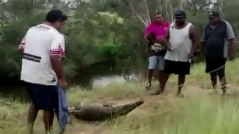 Crocodile Bites Off Womans Arm In Death Roll Fox News