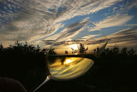 A Different Approach To My Wine Glass Shots If You Are