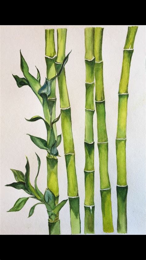How To Draw Bamboo On Wall At How To Draw
