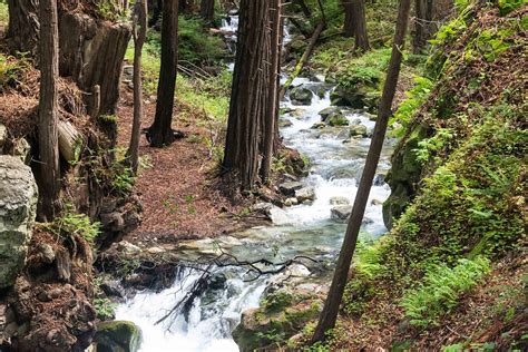 Limekiln State Park Big Sur All You Need To Know Before You Go