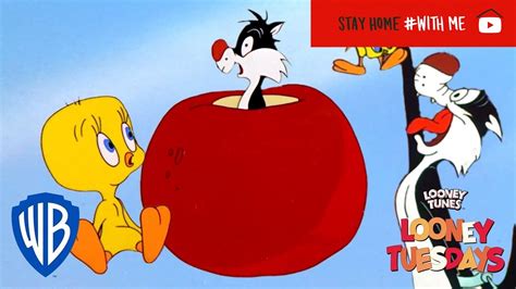 Looney Tuesdays Iconic Duo Tweety And Sylvester Looney Tunes Wb