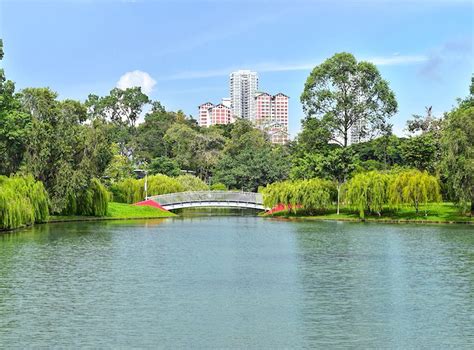 We did not find results for: Discover Ang Mo Kio with kids: Where to go, what to do and ...
