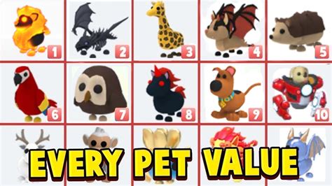 Every New Pets VALUE List In Adopt Me Roblox Adopt Me Update New Pets