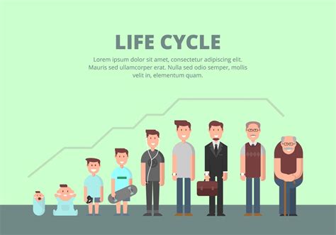 Human Life Cycle Vector Art Icons And Graphics For Free Download