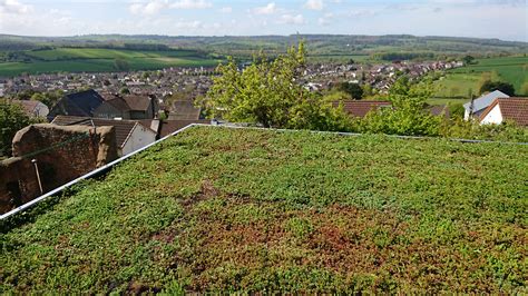 Create A Living Green Roof On Your Garden Building Green Roof Garden