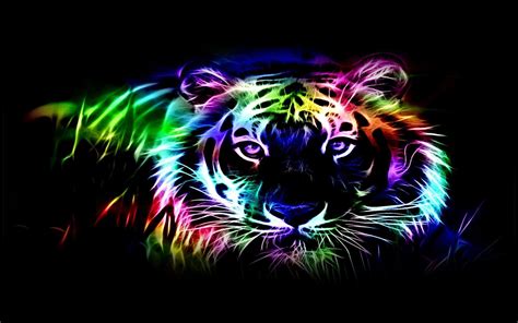 Cool Tiger Backgrounds 63 Pictures
