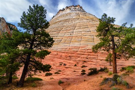 Joes Guide To Zion National Park Checkerboard Mesa Summit Photographs