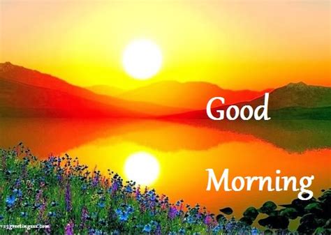 Good Morning Wishes Pictures Images Page 7