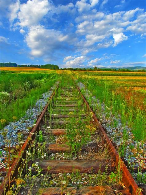 Ubisoft also launched a new assassin's creed black flag trailer featuring railroad track. Forgotten by Tomislav Safundžić / 500px | Train tracks ...