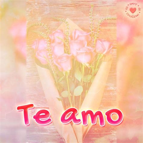 Bonita Imagen De Rosas Con Frase Te Amo Frases De Rosas Imagenes De Te Amo Versos De Amor