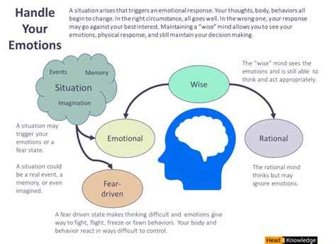 Emotions Regulate Them To Enhance Your Success And Happiness