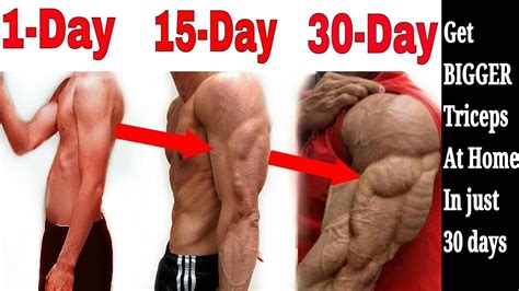 Complete Triceps Workout Get Huge Triceps In 30 Days Sore In 10 Minutes Youtube