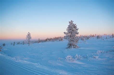 Winter Landscape In Hedmark County Norway Stock Photo Image Of Snow