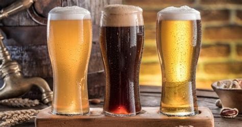 10 Legendary Beer Facts To Get You Drunk Off Knowledge Listverse